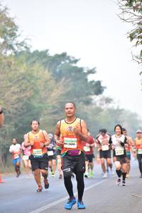 BIB: 26096
                            <button type="button" onclick="openModal(10136231)" class="btn btn-primary btn-sm float-right btn-popup" data-toggle="modal" data-target=".modal-high-quality">
                        <i class="fas fa-shopping-cart"></i> Add to Cart
                    </button>
                                            <button type="button" onclick="isThisMe(10136231, true)" class="btn btn-success btn-sm float-right btn-popup btn-isme hidden" data-toggle="tooltip" data-placement="bottom" title="นี่คือรูปของคุณใช่ไหม คลิกที่นี่เพื่อเอาเข้าอัลบั้ม">
                        <i class="fas fa-plus"></i> Add to album
                    </button>
                    <button type="button" onclick="isThisMe(10136231, false)" class="btn btn-warning btn-sm float-right btn-popup btn-isnotme hidden">
                        <i class="fas fa-ban"></i> Remove from album
                    </button>